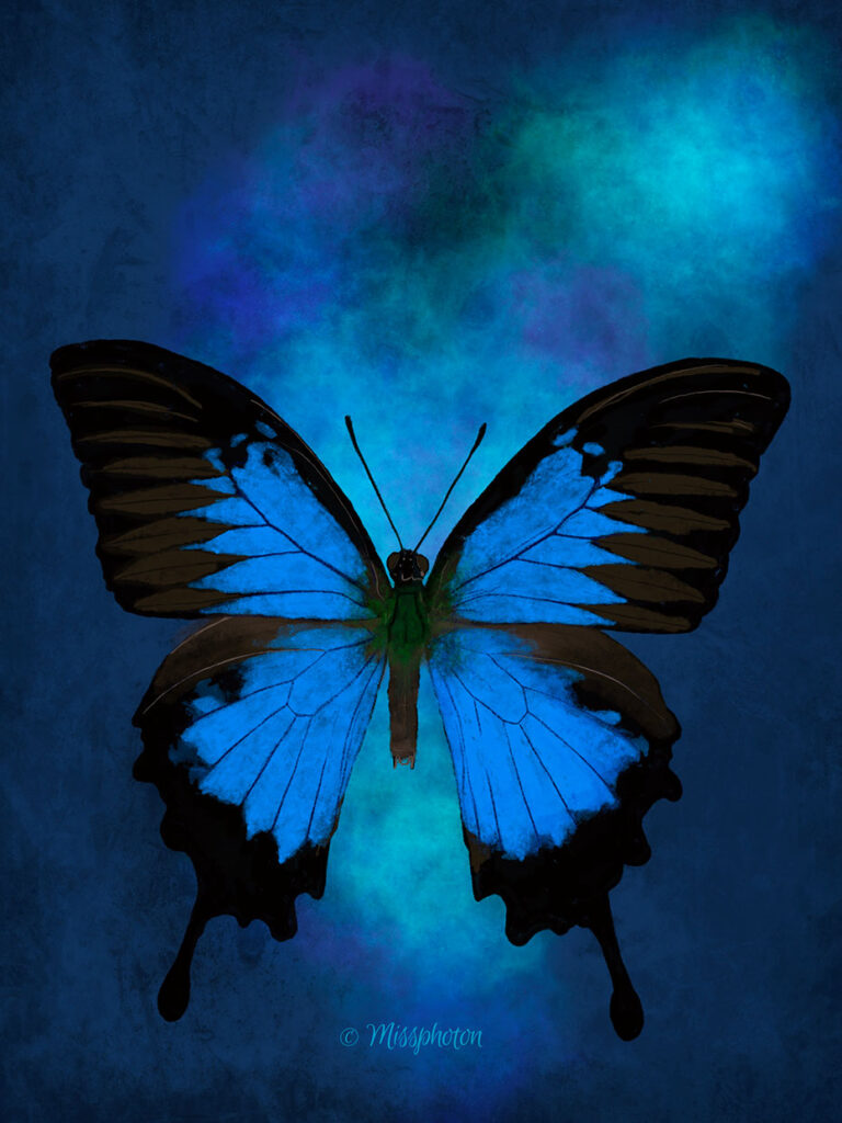 Butterfly - Study 04, 2024.