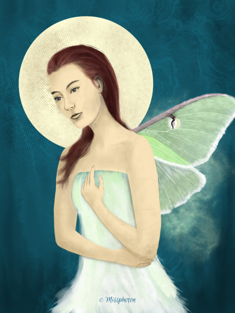 Luna Moth | Presence