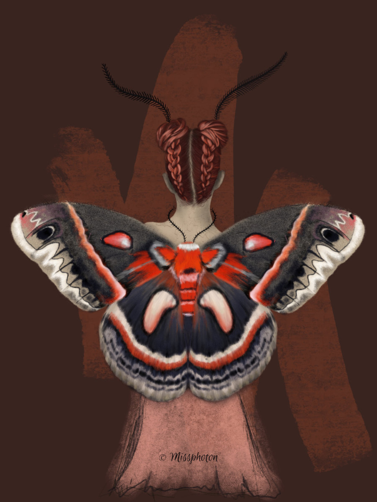 Cecropia Moth Girl