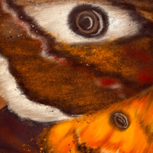 Moth Girl | Potential - Missphoton